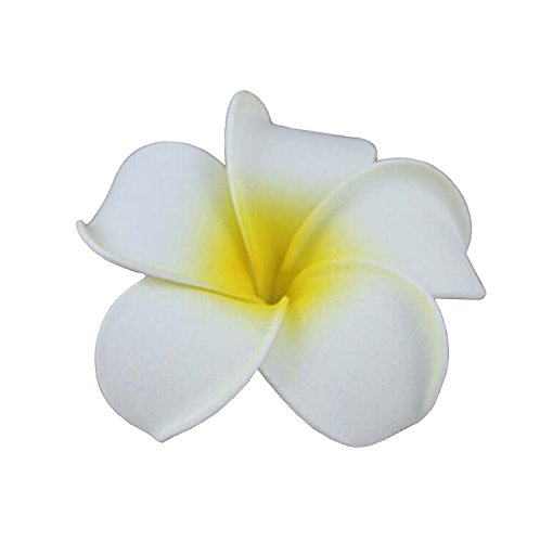 Dreamlily Womens Fashion 3 Pcs Hawaiian White Plumeria Flower Foam Hair Clip Balaclavas For Beach White 0 0