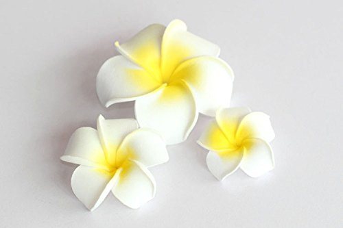 Dreamlily Womens Fashion 3 Pcs Hawaiian White Plumeria Flower Foam Hair Clip Balaclavas For Beach White 0 2
